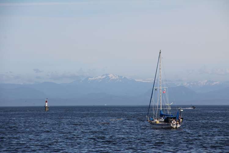 Malcolm Island Beyond